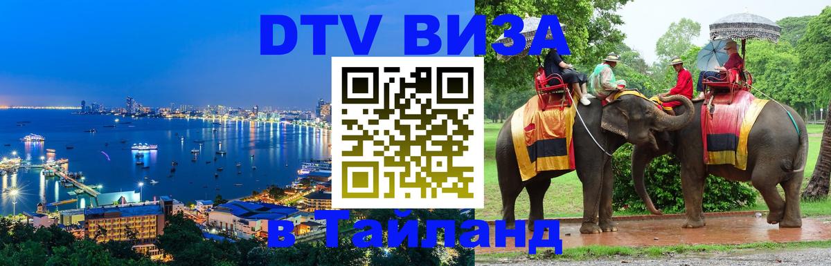 Оформление DTV визы под ключ: стоимость и тарифы, только загранпаспорт - 